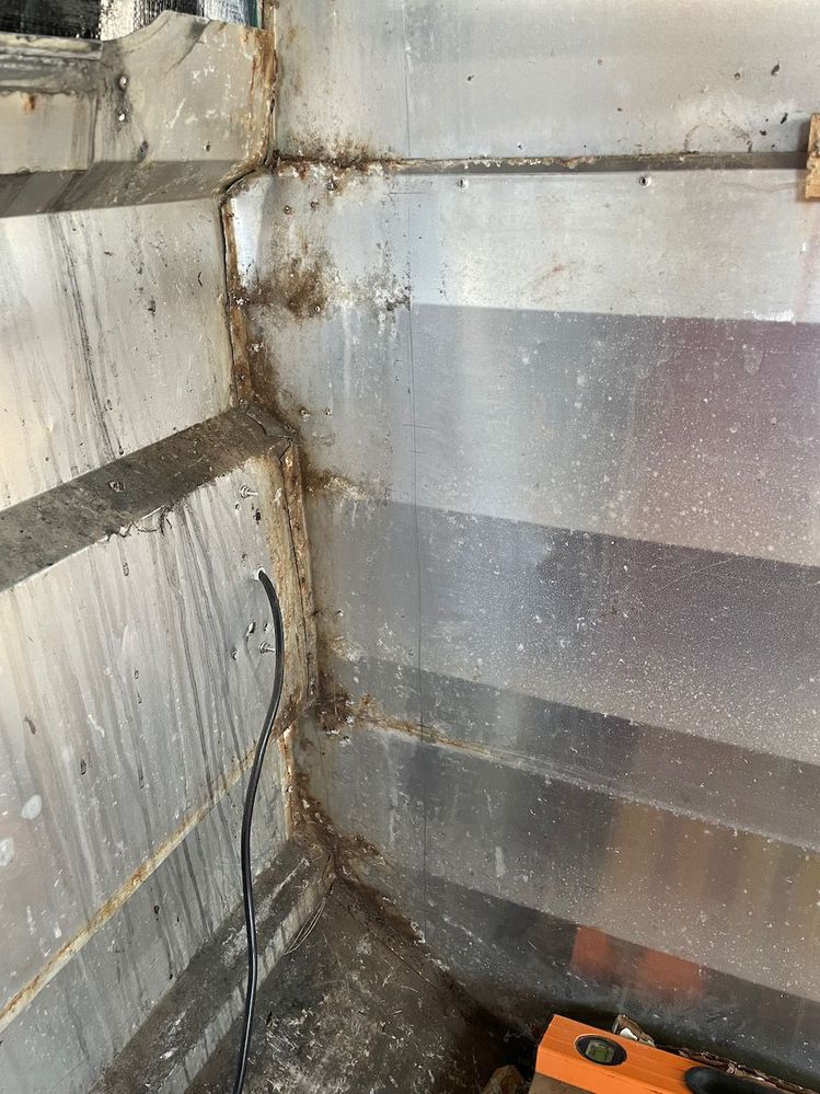 IMG_0253.jpeg IMG_0253.jpeg