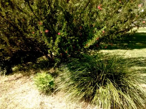 IMG_20191029_141649788.jpg IMG_20191029_141649788.jpg