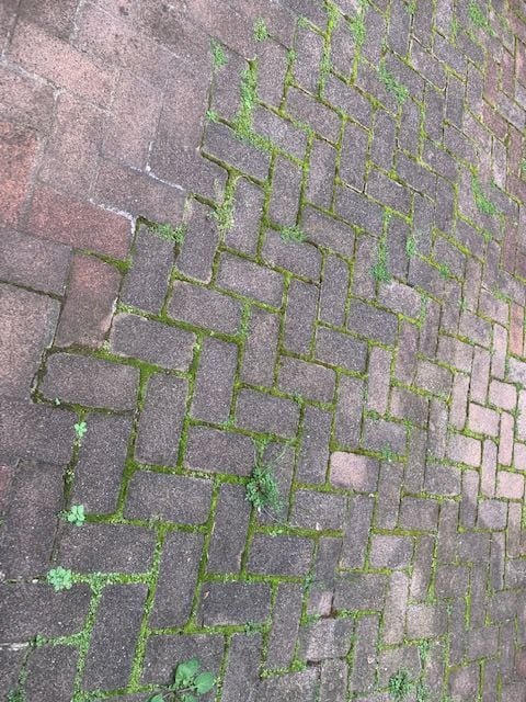 IMG_7855.jpg IMG_7855.jpg