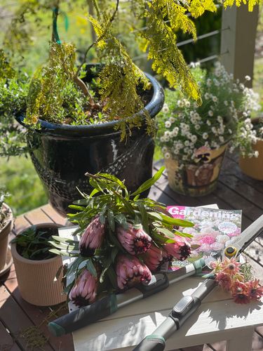 14128CAA-7B6C-496A-ACFD-3064E29EF488.jpeg 14128CAA-7B6C-496A-ACFD-3064E29EF488.jpeg