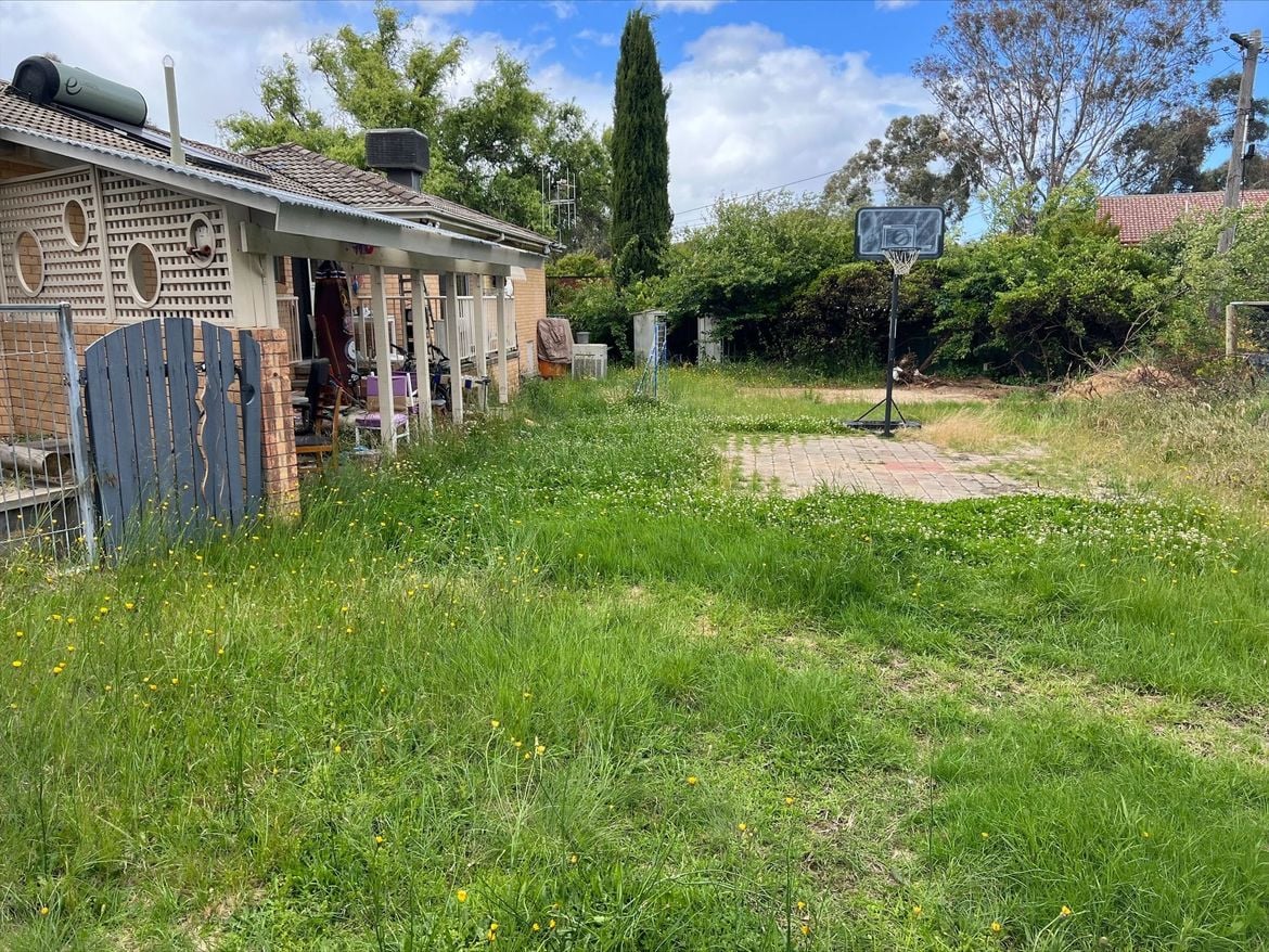 Image(3).jpeg Image(3).jpeg