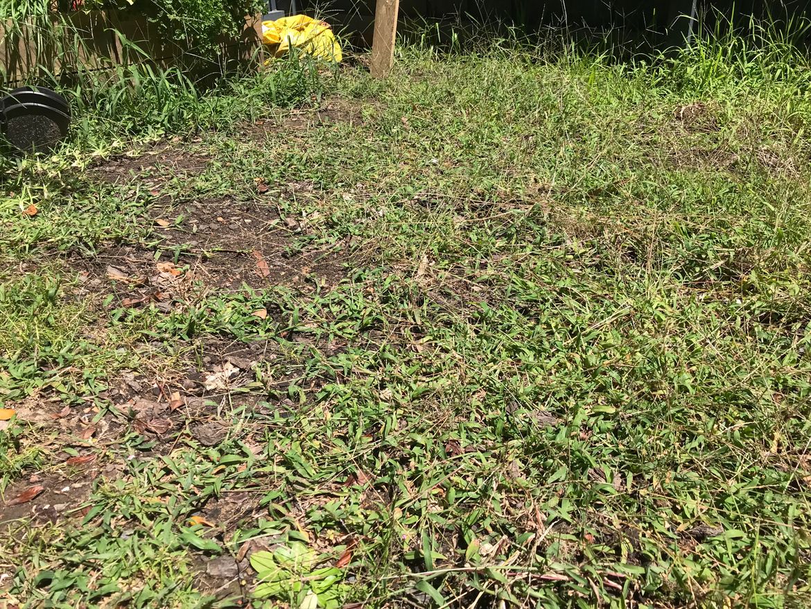 IMG_4405.jpg IMG_4405.jpg