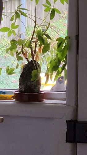 signal-2023-09-01-091530_002.jpeg signal-2023-09-01-091530_002.jpeg