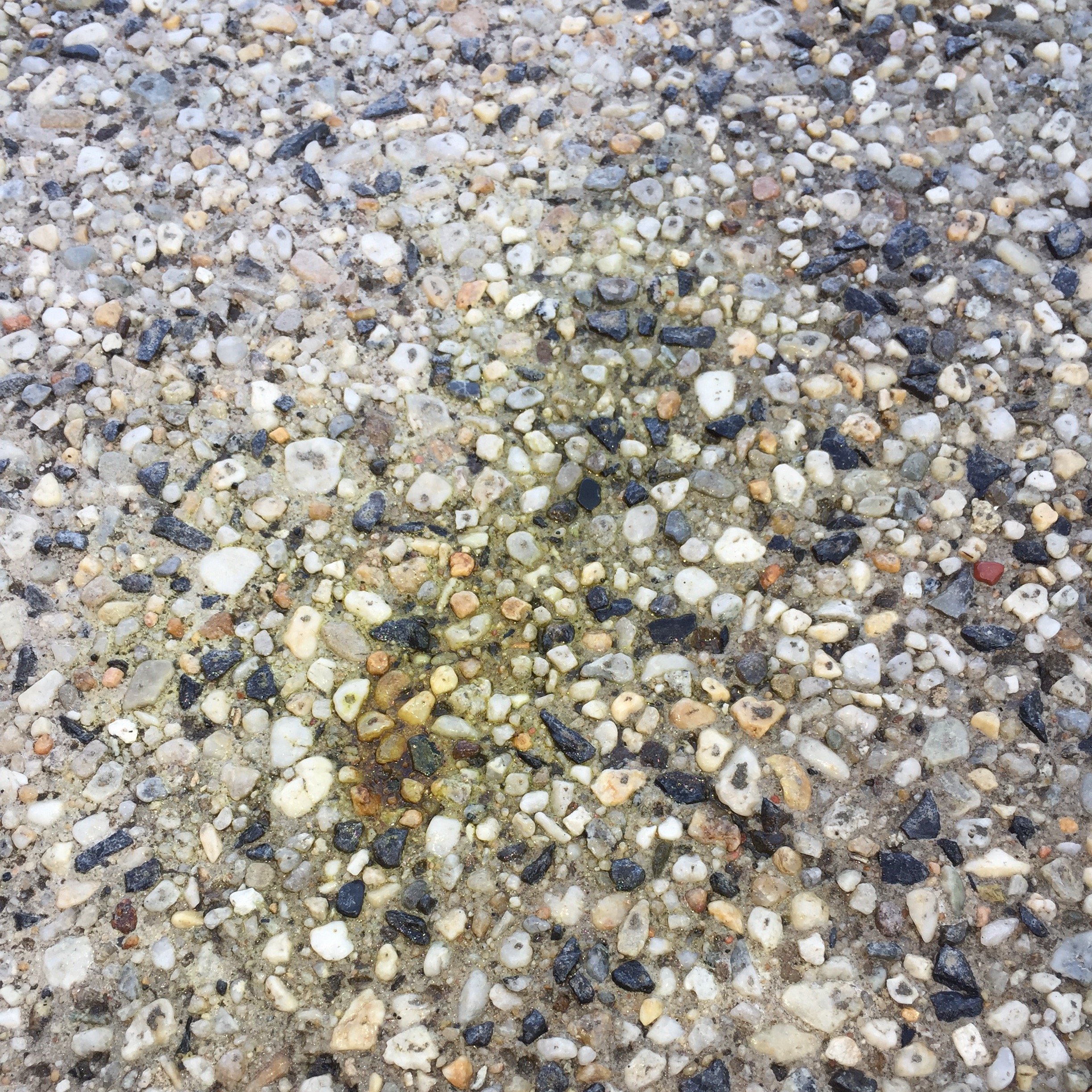 FullSizeRender 3.jpg FullSizeRender 3.jpg