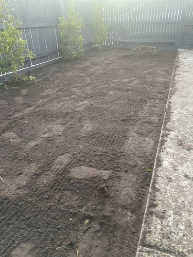 IMG_6882.jpeg IMG_6882.jpeg