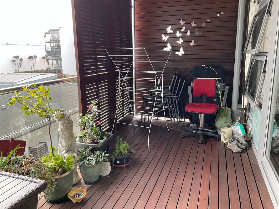 IMG_0713.jpeg IMG_0713.jpeg