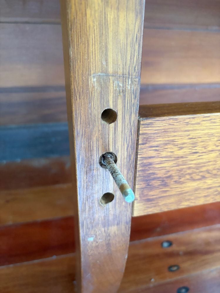 IMG_0395.jpeg IMG_0395.jpeg