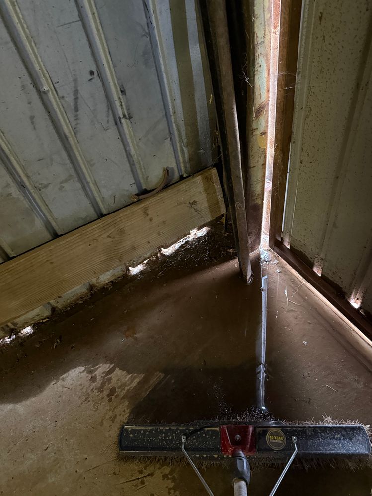 image5.jpeg image5.jpeg