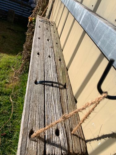 IMG_9907.jpeg IMG_9907.jpeg