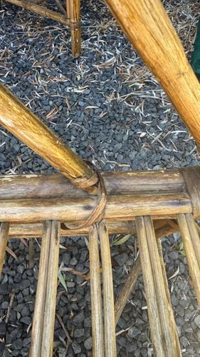 IMG_3137.jpeg IMG_3137.jpeg