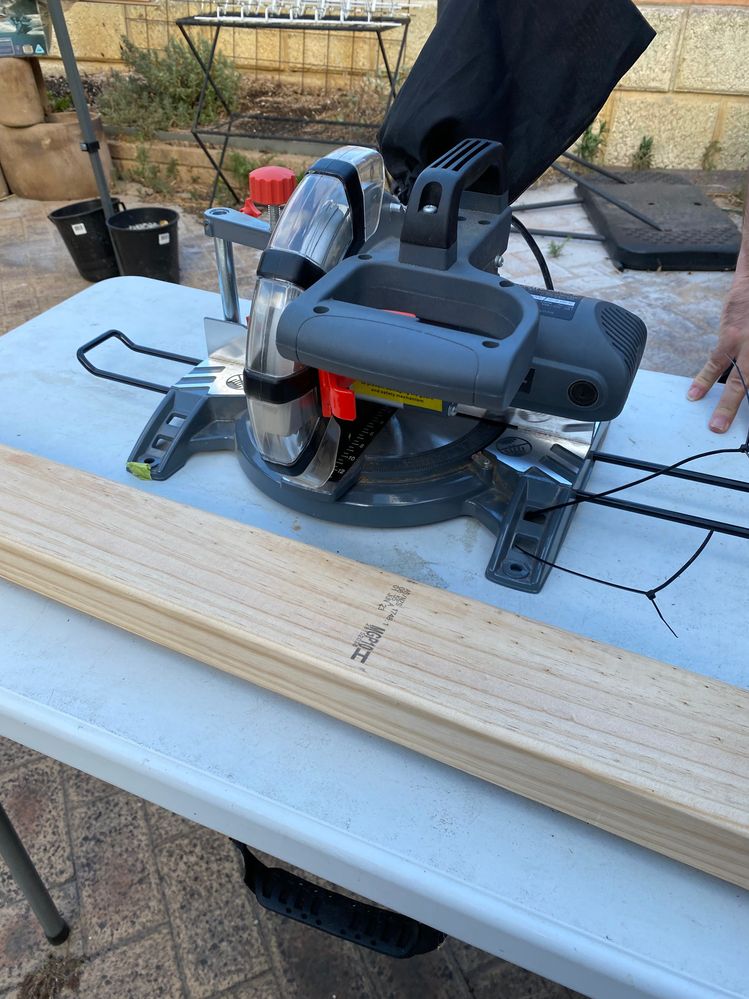 IMG_3819.jpeg IMG_3819.jpeg