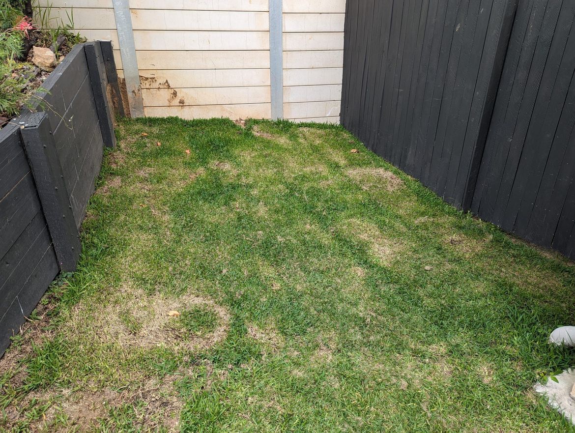 WhatsApp Image 2024-04-01 at 9.22.28 AM.jpeg WhatsApp Image 2024-04-01 at 9.22.28 AM.jpeg