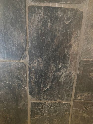 IMG_7921.jpeg IMG_7921.jpeg