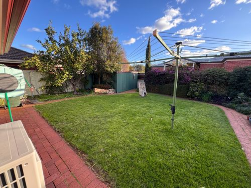 IMG_1159.jpeg IMG_1159.jpeg