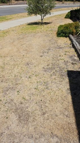 2024-12-3111.09.41498745057257228944.jpg 2024-12-3111.09.41498745057257228944.jpg