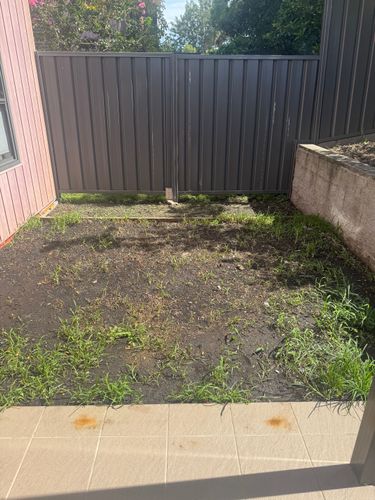 IMG_0042.jpeg IMG_0042.jpeg