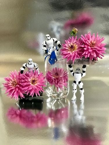 420EF11A-29B2-4388-9433-0AF0BF6726EB.jpeg 420EF11A-29B2-4388-9433-0AF0BF6726EB.jpeg