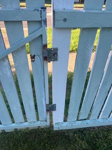 IMG_3516.jpeg IMG_3516.jpeg