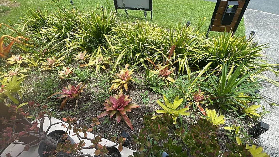 467211616_485095801257617_1792115745085808001_n.jpg 467211616_485095801257617_1792115745085808001_n.jpg