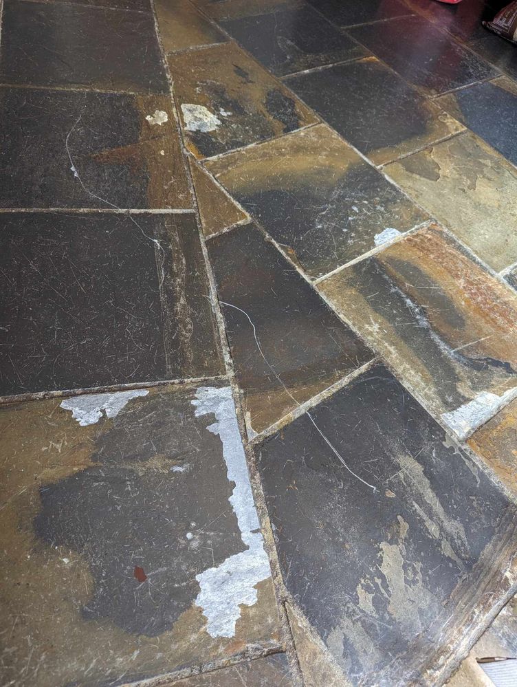 415169485_691113493208492_8939952971934214658_n.jpg 415169485_691113493208492_8939952971934214658_n.jpg