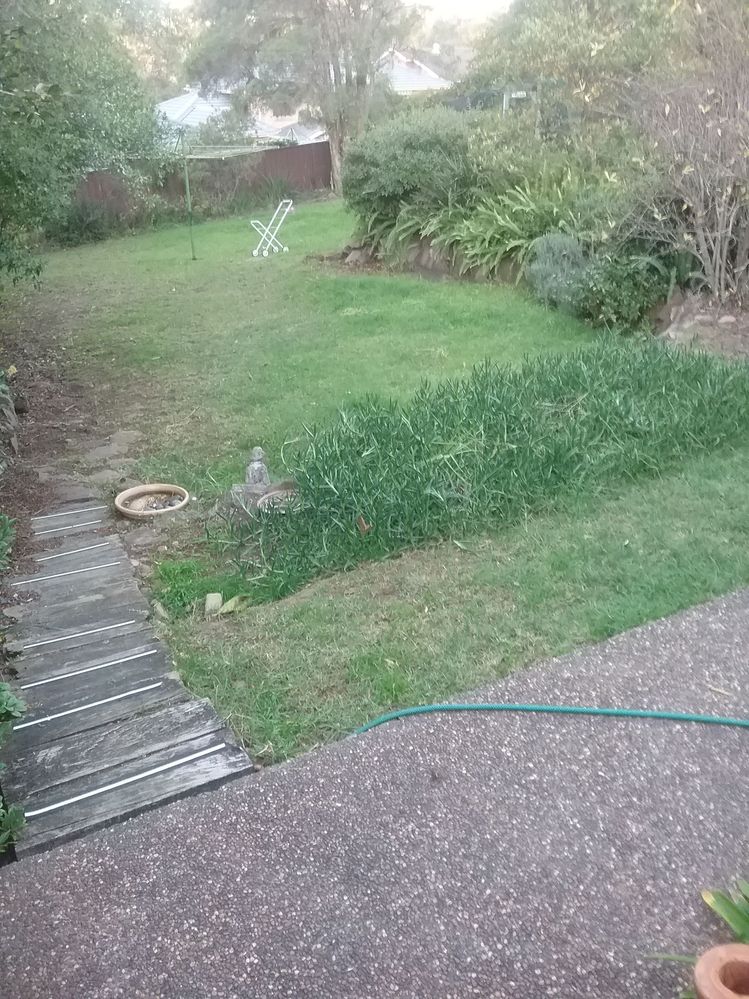 20180708_164219.jpg 20180708_164219.jpg