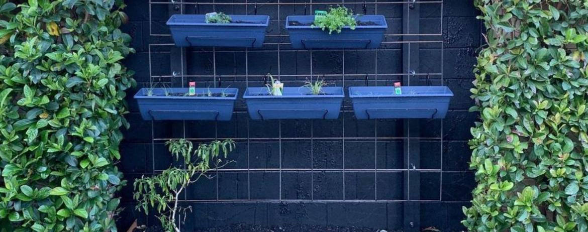 Vertical garden.png Vertical garden.png