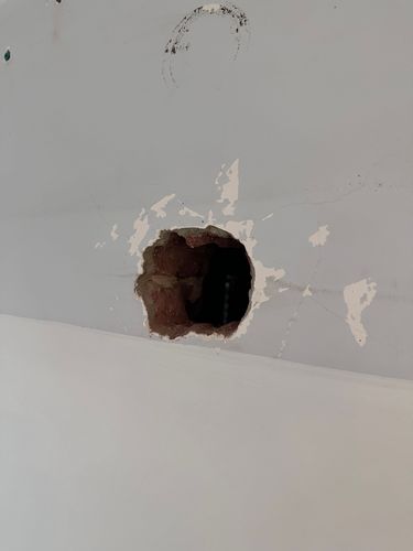 IMG_8472.jpeg IMG_8472.jpeg