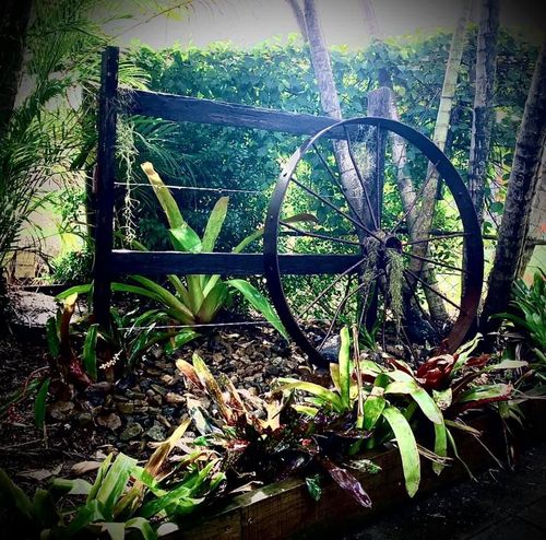 104756700_10221922389470801_5364929396318055084_n.jpg 104756700_10221922389470801_5364929396318055084_n.jpg