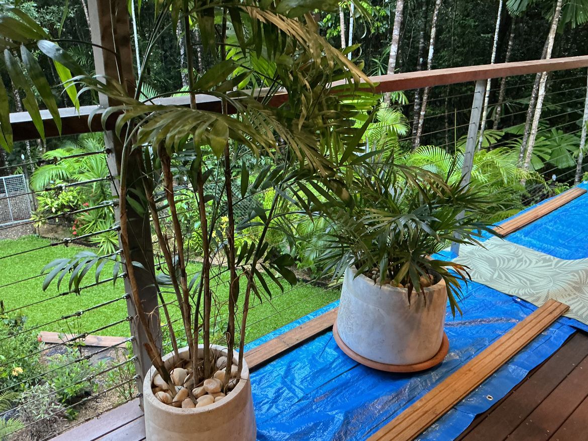 IMG_0539.jpeg IMG_0539.jpeg