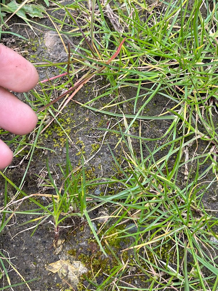 IMG_3374.jpg IMG_3374.jpg