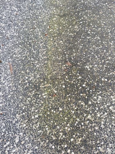 20211012_104714.jpg 20211012_104714.jpg