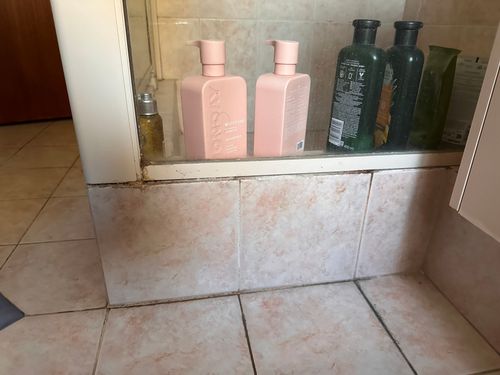 IMG_8586.jpeg IMG_8586.jpeg