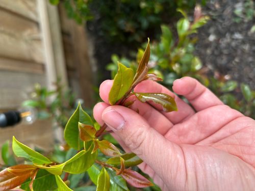 IMG_6046.jpeg IMG_6046.jpeg