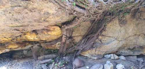 20240912_123939.jpg 20240912_123939.jpg