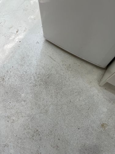 IMG_8097.jpeg IMG_8097.jpeg