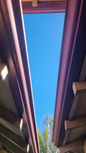 IMG_7828.jpeg IMG_7828.jpeg