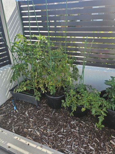 1000062496.jpg 1000062496.jpg