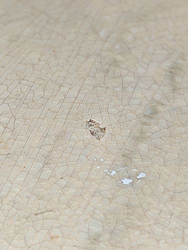 PXL_20221121_051307451.jpg PXL_20221121_051307451.jpg