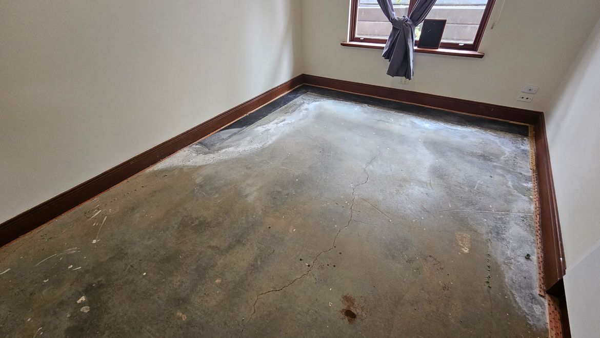 20231031_113135.jpg 20231031_113135.jpg