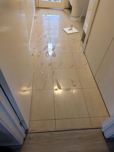 1000003899.jpg 1000003899.jpg