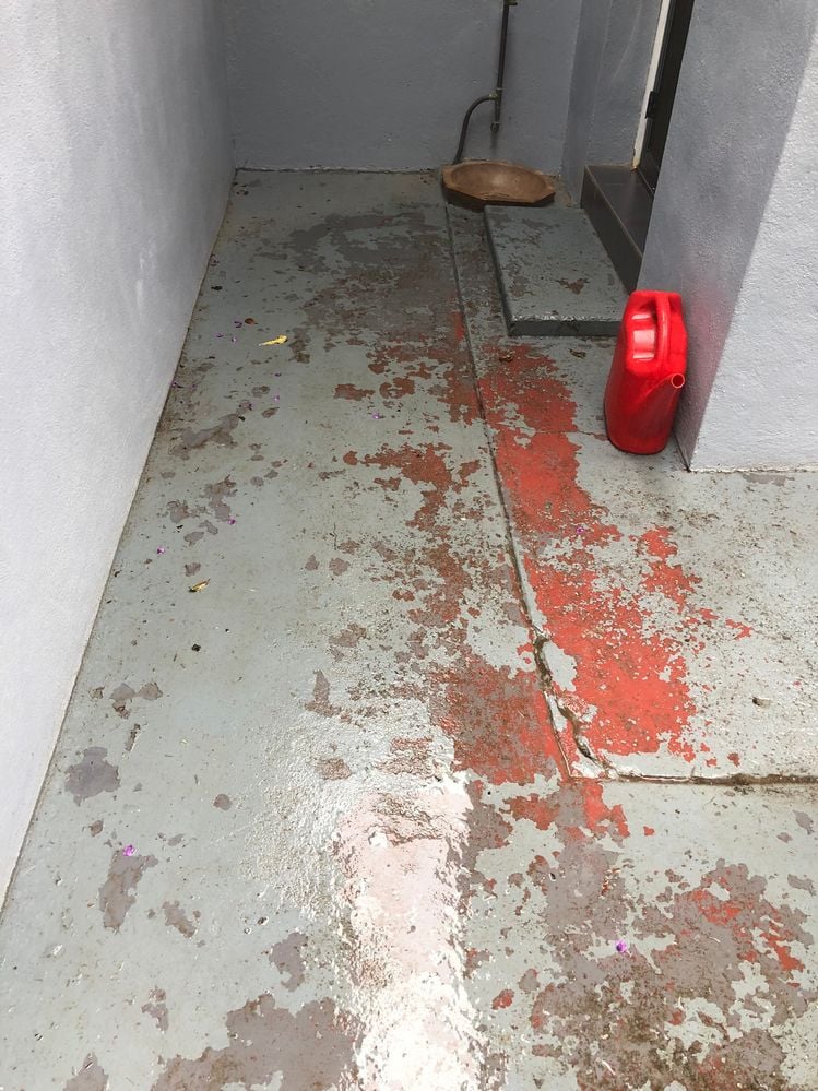 IMG_7274 (2).jpg IMG_7274 (2).jpg