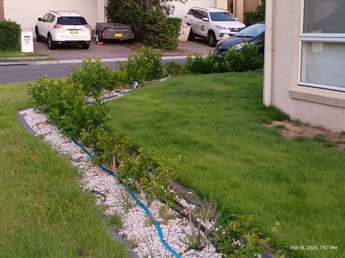 1000094873.jpg 1000094873.jpg