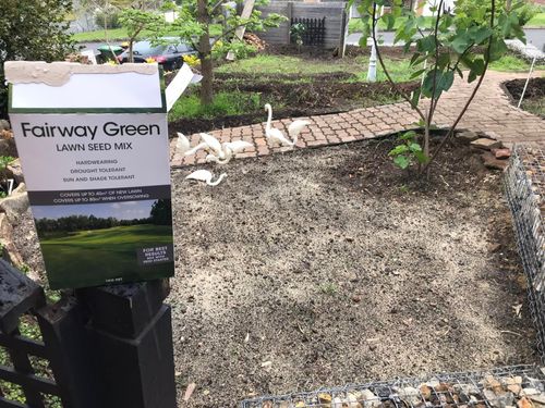 60 02-10-2022.jpg 60 02-10-2022.jpg