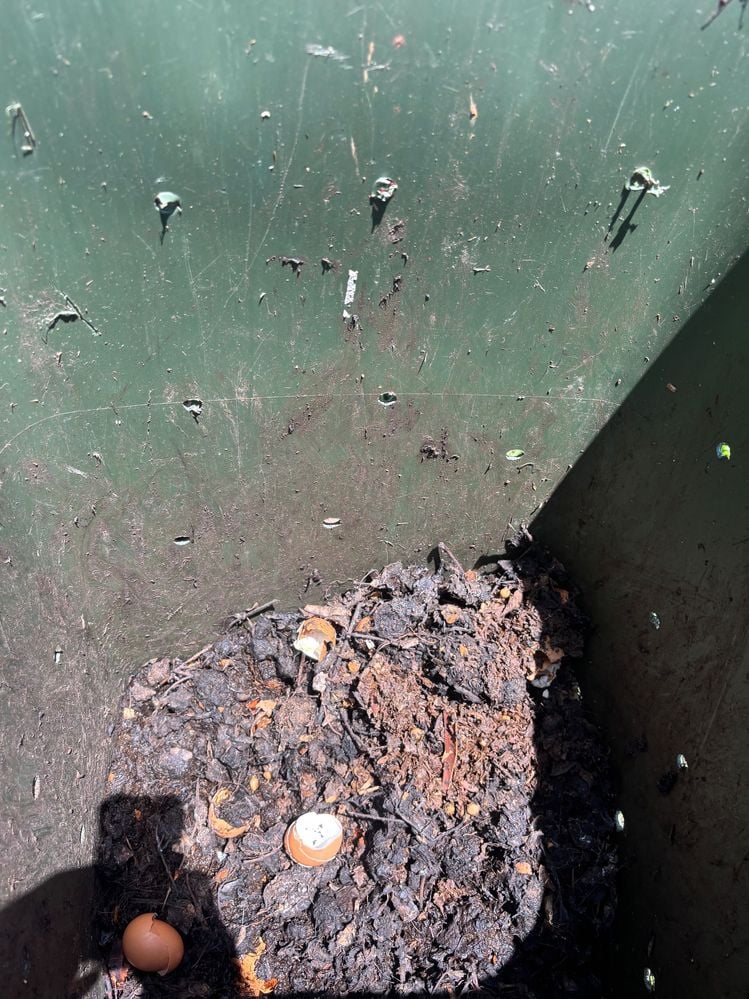 IMG_5488.jpg IMG_5488.jpg