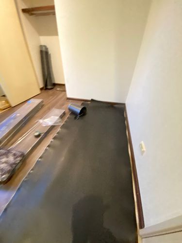 IMG_4881.jpeg IMG_4881.jpeg