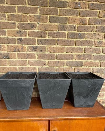 FB439E92-4839-46D7-8F48-8758348C5A77.jpeg FB439E92-4839-46D7-8F48-8758348C5A77.jpeg