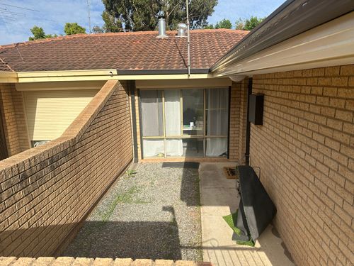 IMG_7513.jpeg IMG_7513.jpeg