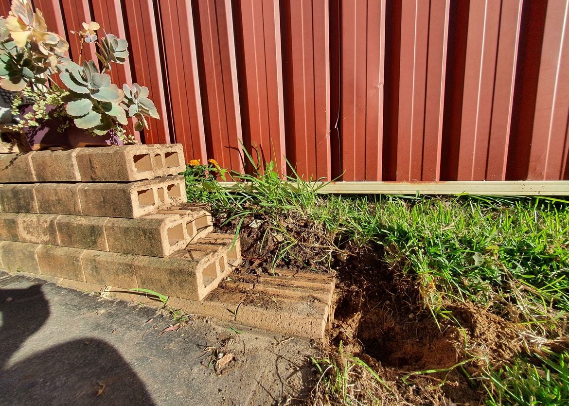 20210413_163953.jpg 20210413_163953.jpg