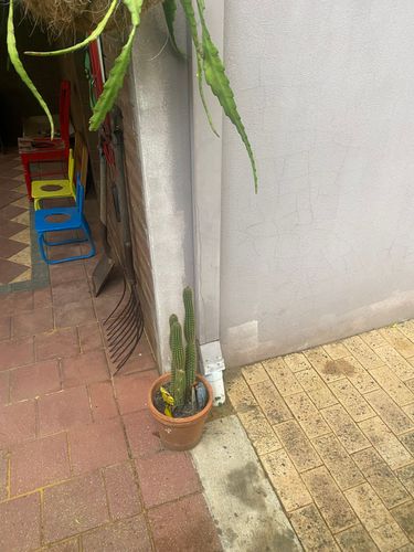 IMG_1176.jpeg IMG_1176.jpeg