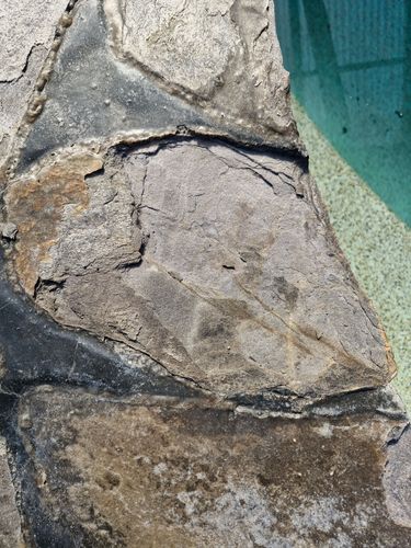 20250113_094634.jpg 20250113_094634.jpg